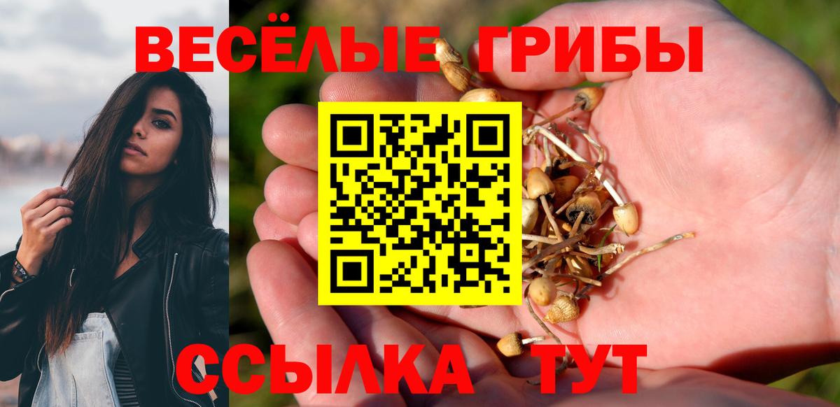 Псилоцибиновые грибы Psilocybe  Вход с VPN  Сургут  Галлюциногенные грибы мицелий 